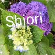 ヒメ日記 2026/06/02 08:49 投稿 しおり 東京妻