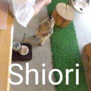 ヒメ日記 2026/06/23 12:09 投稿 しおり 東京妻