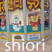 ヒメ日記 2026/07/15 12:18 投稿 しおり 東京妻