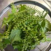 ヒメ日記 2025/10/01 15:05 投稿 ひろ SWEET～berta～