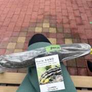 ヒメ日記 2025/10/13 12:55 投稿 ひろ SWEET～berta～