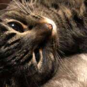 ヒメ日記 2026/02/22 11:55 投稿 ひろ SWEET～berta～