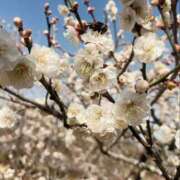 ヒメ日記 2026/03/06 18:45 投稿 ひろ SWEET～berta～