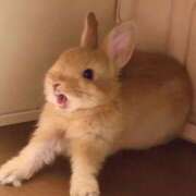 ヒメ日記 2025/09/02 15:11 投稿 ふうあ 初体験