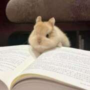 ヒメ日記 2025/09/10 16:21 投稿 ふうあ 初体験