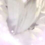 ヒメ日記 2025/09/25 18:52 投稿 ななみ【スレンダー可憐美女】 おクンニ天国～Rising Group～