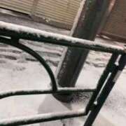 ヒメ日記 2026/02/08 05:54 投稿 KAMIRA GINGIRA☆TOKYO～ギンギラ東京～