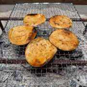 ヒメ日記 2026/04/02 02:48 投稿 KAMIRA GINGIRA☆TOKYO～ギンギラ東京～