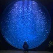 ヒメ日記 2026/04/08 19:33 投稿 KAMIRA GINGIRA☆TOKYO～ギンギラ東京～