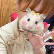 ヒメ日記 2025/10/06 19:05 投稿 一花 鶯谷人妻城