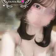 ヒメ日記 2025/10/10 16:52 投稿 ももか 京都出張メンズエステChou Chou（シュシュ)