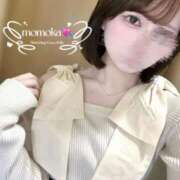 ヒメ日記 2025/11/13 15:50 投稿 ももか 京都出張メンズエステChou Chou（シュシュ)