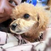 ヒメ日記 2025/11/11 21:17 投稿 すい MiliM