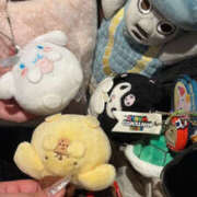 ヒメ日記 2025/11/16 10:28 投稿 すい MiliM