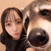 ヒメ日記 2025/11/29 21:02 投稿 まお 東京巨乳デリヘル おっぱいマート