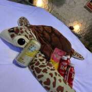 一ノ瀬つばさ お礼🤍サンシルクG様🤍 セレブ Rex