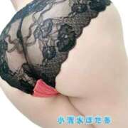 ヒメ日記 2025/09/03 09:02 投稿 小清水 BBW西船橋店