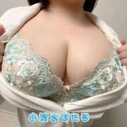 ヒメ日記 2025/09/06 13:51 投稿 小清水 BBW西船橋店