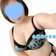 ヒメ日記 2025/09/11 08:31 投稿 小清水 BBW西船橋店