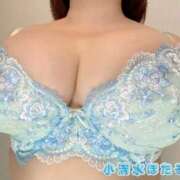 ヒメ日記 2025/09/21 01:21 投稿 小清水 BBW西船橋店