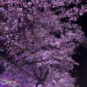 ヒメ日記 2026/04/09 21:18 投稿 みゆ MiliM