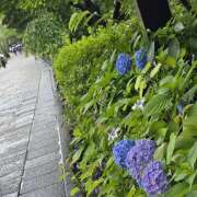 ヒメ日記 2026/06/26 18:04 投稿 なぎさ Unmoral～アンモラル～