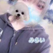 ヒメ日記 2025/10/14 15:35 投稿 みらい Beauty Street