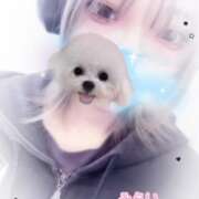 ヒメ日記 2025/10/15 15:52 投稿 みらい Beauty Street