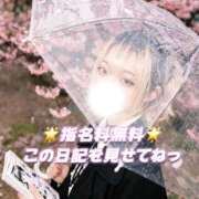 ヒメ日記 2026/04/23 20:45 投稿 みらい Beauty Street
