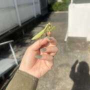 ヒメ日記 2025/11/08 13:17 投稿 みどり Beauty Street