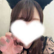 ヒメ日記 2025/11/19 20:00 投稿 あや Beauty Street