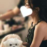 ヒメ日記 2025/09/28 09:25 投稿 結城(ユウキ) 翡翠の夢