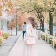 ヒメ日記 2025/10/11 23:55 投稿 結城(ユウキ) 翡翠の夢