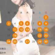 ヒメ日記 2025/10/17 16:09 投稿 結城(ユウキ) 翡翠の夢