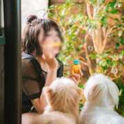 ヒメ日記 2025/11/19 23:25 投稿 結城(ユウキ) 翡翠の夢