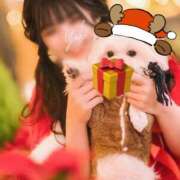 ヒメ日記 2025/11/21 21:25 投稿 結城(ユウキ) 翡翠の夢