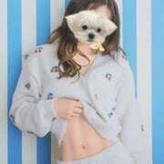 ヒメ日記 2025/11/25 11:05 投稿 結城(ユウキ) 翡翠の夢