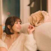 ヒメ日記 2025/12/24 13:15 投稿 結城(ユウキ) 翡翠の夢