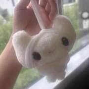 ヒメ日記 2025/09/05 02:24 投稿 苺　ぷりん マーベリック横浜