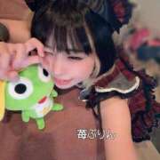 ヒメ日記 2025/09/08 09:58 投稿 苺　ぷりん マーベリック横浜