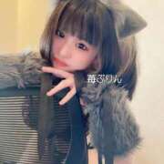 ヒメ日記 2025/09/11 08:44 投稿 苺　ぷりん マーベリック横浜