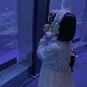 ヒメ日記 2025/09/12 03:14 投稿 苺　ぷりん マーベリック横浜