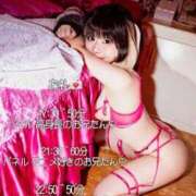 ヒメ日記 2025/10/05 16:04 投稿 苺　ぷりん マーベリック横浜