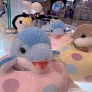 ヒメ日記 2025/11/23 01:44 投稿 苺　ぷりん マーベリック横浜