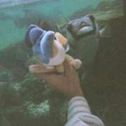 ヒメ日記 2025/12/03 03:04 投稿 苺　ぷりん マーベリック横浜