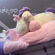 ヒメ日記 2026/01/25 01:24 投稿 苺　ぷりん マーベリック横浜