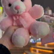 ヒメ日記 2026/02/07 17:05 投稿 苺　ぷりん マーベリック横浜