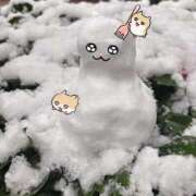 ヒメ日記 2026/02/08 21:04 投稿 苺　ぷりん マーベリック横浜