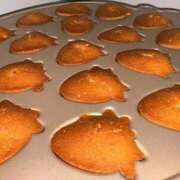 ヒメ日記 2026/02/12 21:14 投稿 苺　ぷりん マーベリック横浜