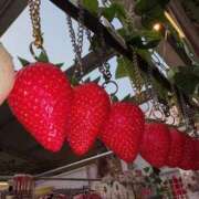 ヒメ日記 2026/02/25 02:24 投稿 苺　ぷりん マーベリック横浜